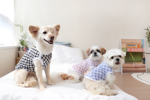 Checkerboard Top
