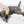 Load image into Gallery viewer, Pet Healing Brush
