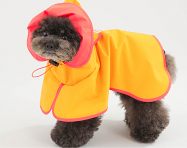 Pet Raincoat