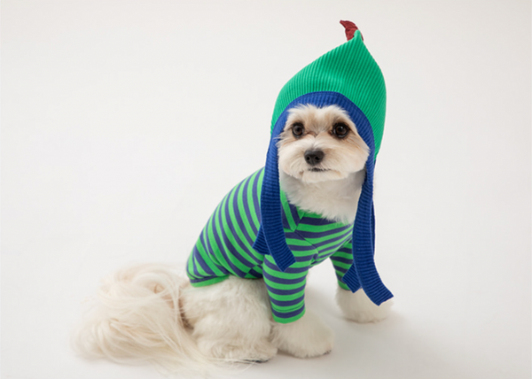 Cotton Beanie