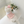 Load image into Gallery viewer, Blossom Crop Tee
