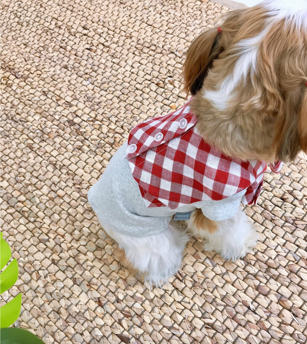 Shirt Scarf T-shirt