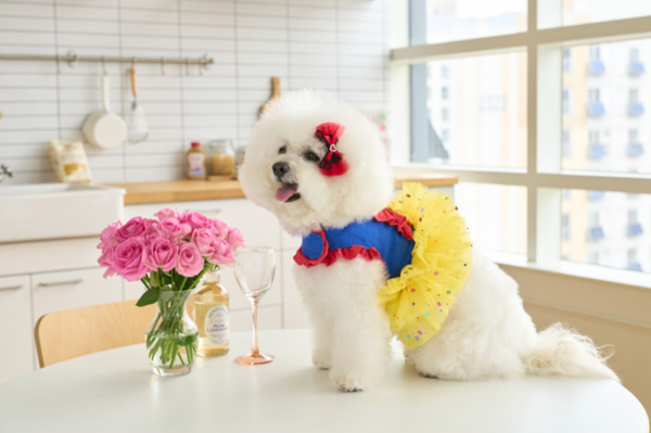 Snow White Dress Harness