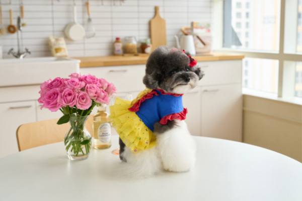 Snow White Dress Harness