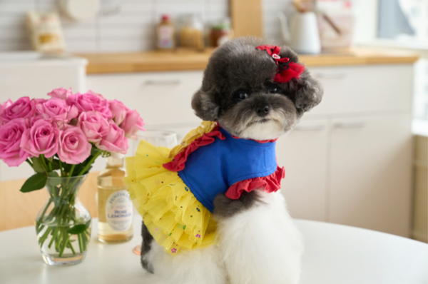 Snow White Dress Harness