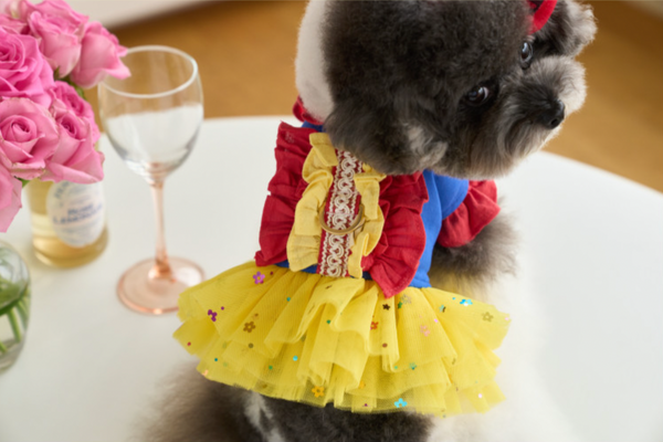 Snow White Dress Harness
