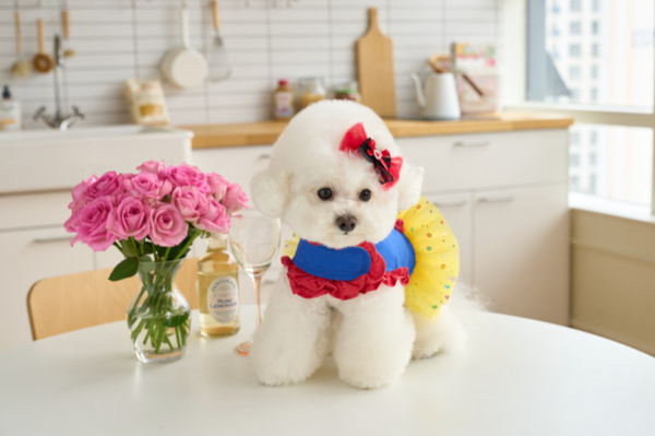 Snow White Dress Harness