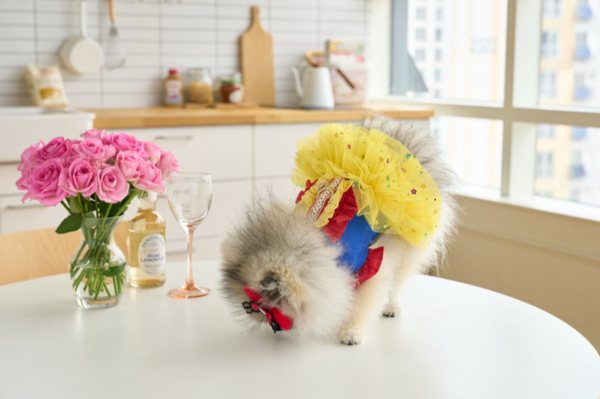 Snow White Dress Harness