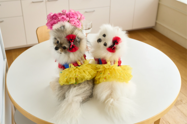 Snow White Dress Harness