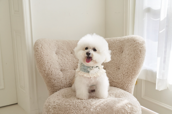 Fortress Tweed Harness