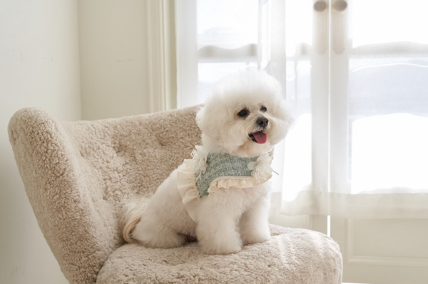 Fortress Tweed Harness
