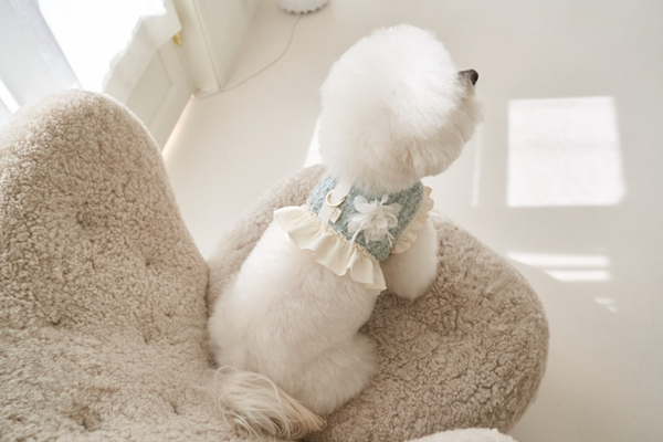 Fortress Tweed Harness