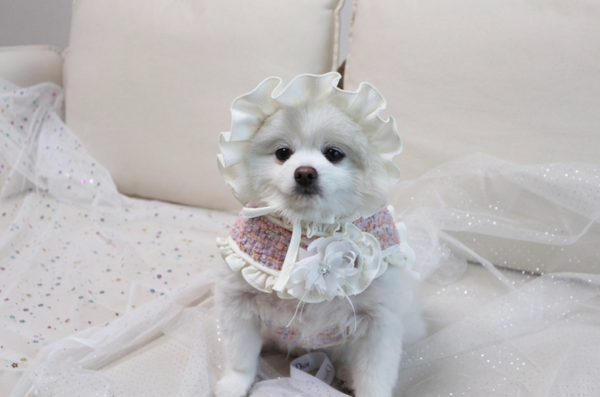 Fortress Tweed Harness