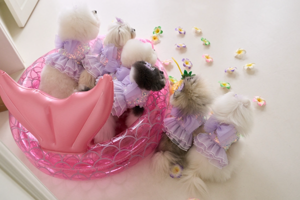 Mermaid Dress Harness