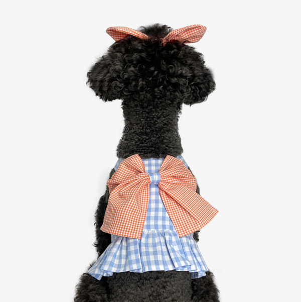 Sparkling Ribbon Top