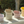 Load image into Gallery viewer, Pet Silicone Bowl
