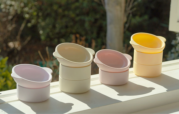Pet Silicone Bowl