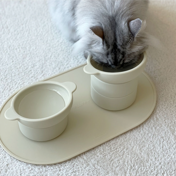 Pet Silicone Bowl