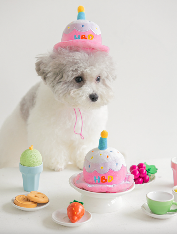 Birthday Cake Hat Toy