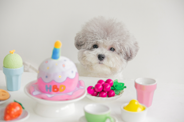 Birthday Cake Hat Toy