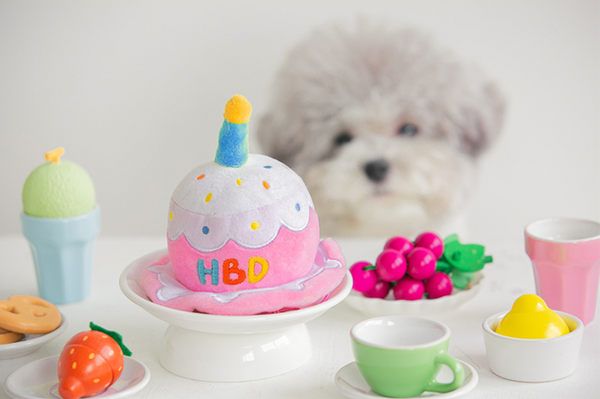Birthday Cake Hat Toy