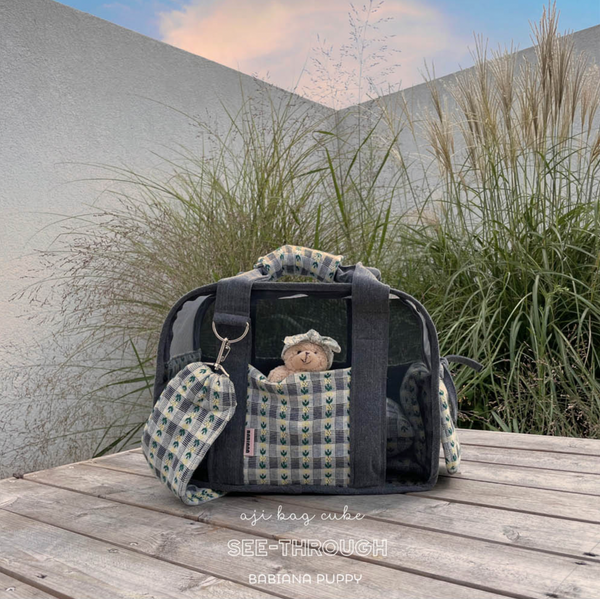 Ajibag Cube See-Through
