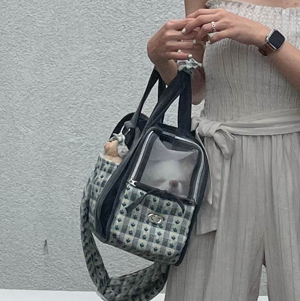 Ajibag Cube See-Through