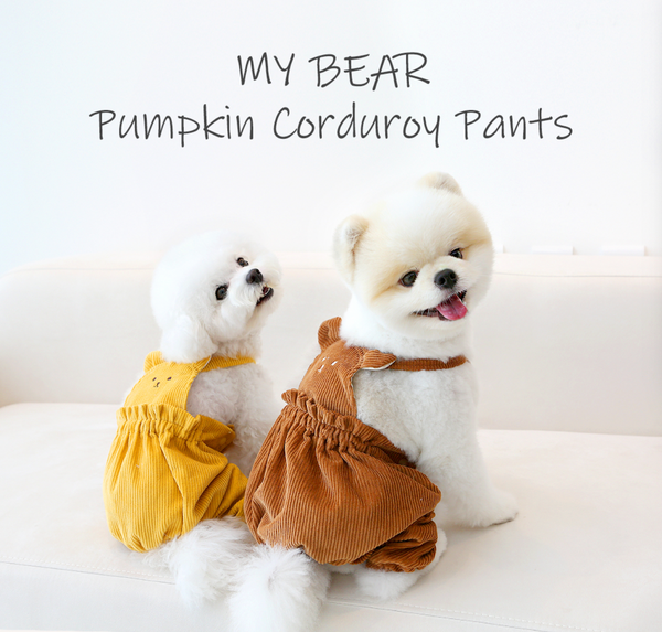 Pumpkin Corduroy Pants
