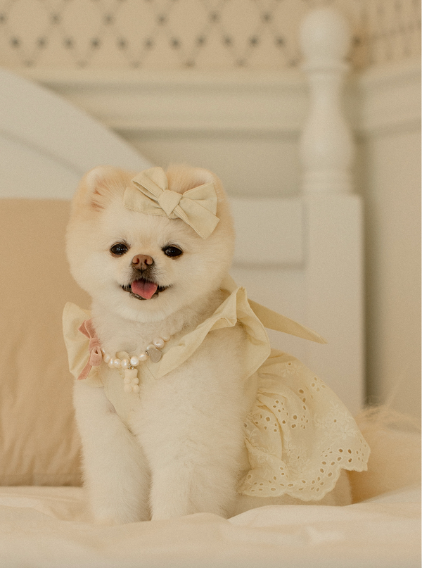 Crème Brûlée Ribbon Bustier