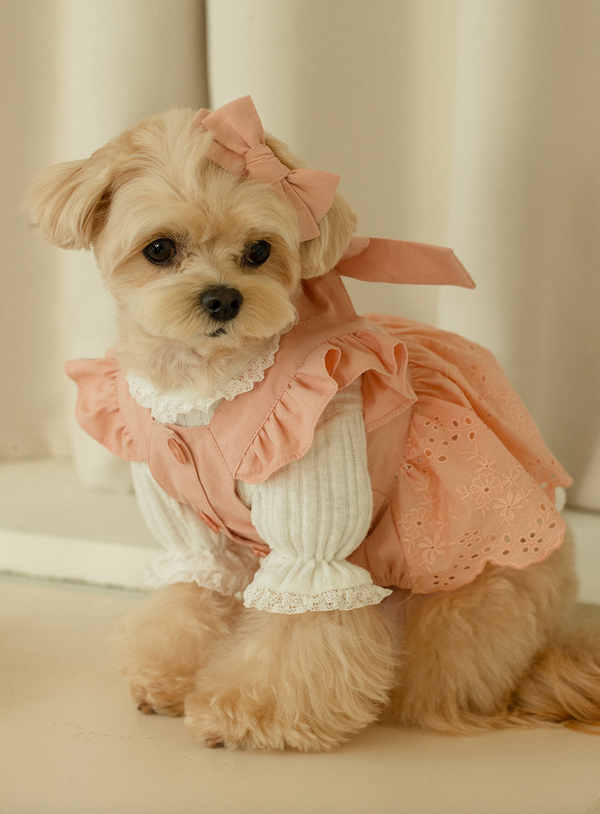 Crème Brûlée Ribbon Bustier