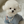Load image into Gallery viewer, Teddy Pearl Necklace
