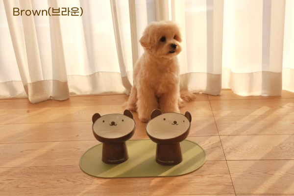 Hi Bear Stand Bowl