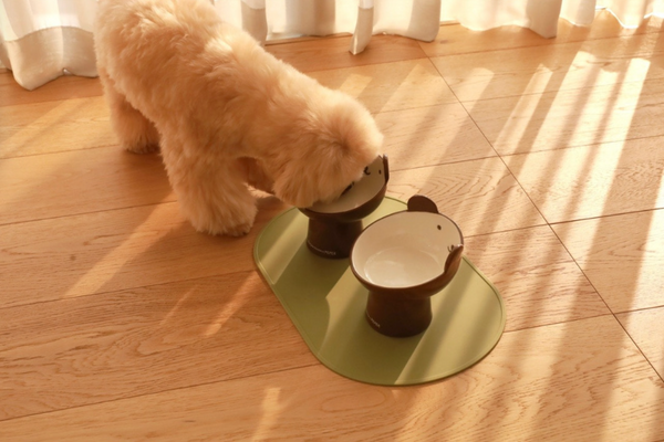 Hi Bear Stand Bowl
