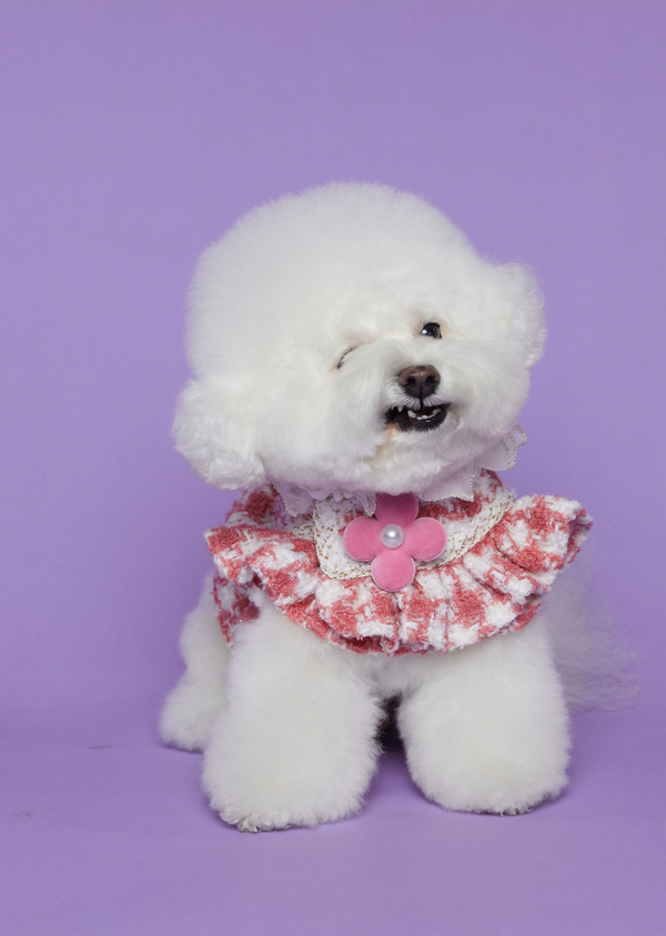 Hound Tooth Tweed Harness