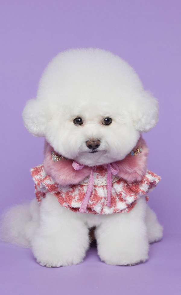 Hound Tooth Tweed Harness