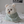 Load image into Gallery viewer, Bear Hood Blanket Cape

