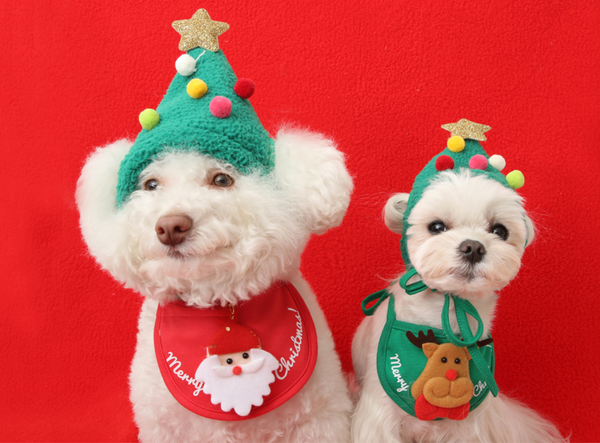 Christmas Hat
