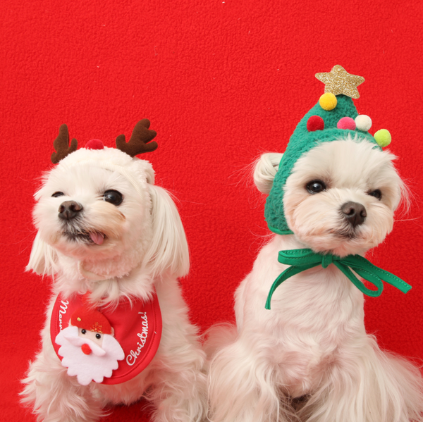 Christmas Hat
