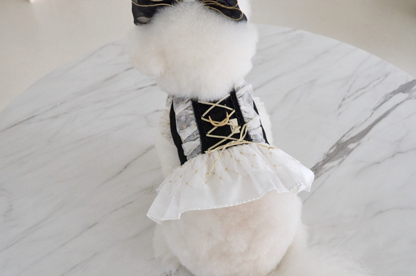 Ballet Dress Harness