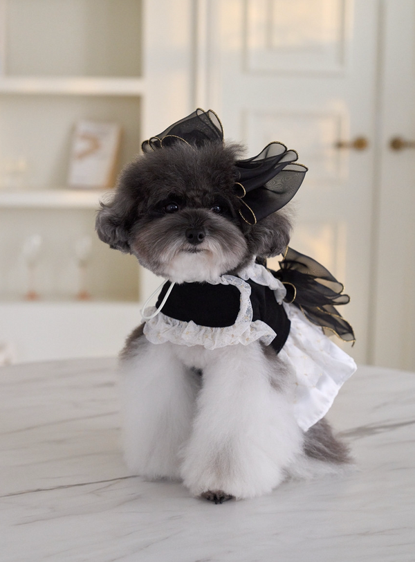 Ballet Dress Harness