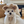 Load image into Gallery viewer, Bear Vest
