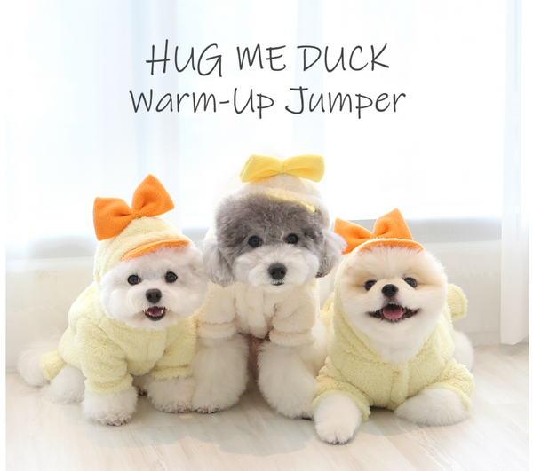 Duck Winter Jumper