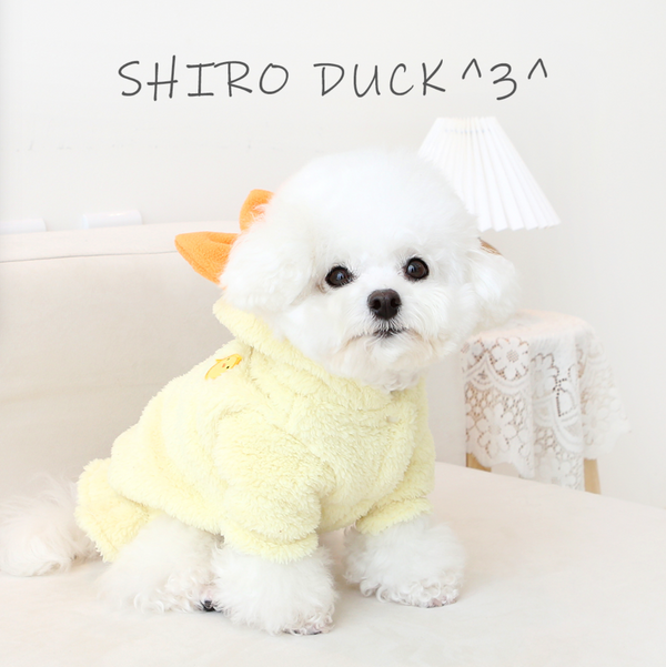 Duck Winter Jumper