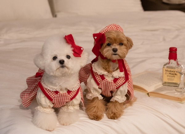 Red Velvet Cake Dress