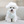 Load image into Gallery viewer, Snow Reversible Padding
