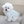 Load image into Gallery viewer, Snow Reversible Padding
