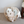 Load image into Gallery viewer, Snow Reversible Padding
