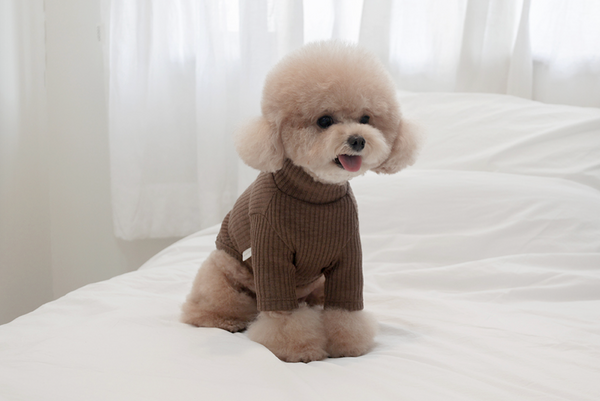 Basic Turtleneck