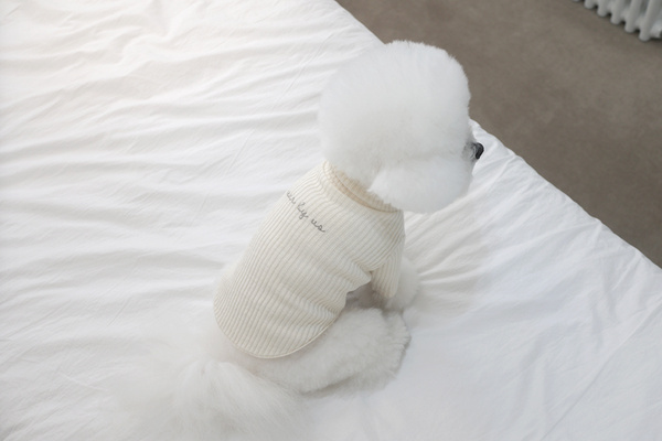 Basic Turtleneck