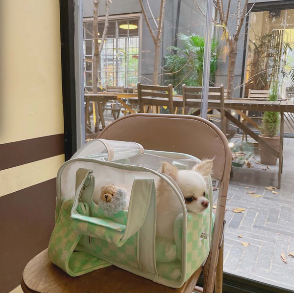 Ajibag Cube See-Through